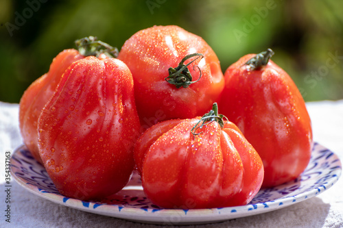 Fresh ripe red beefsteak or coeur de boeuf tomatoes © barmalini