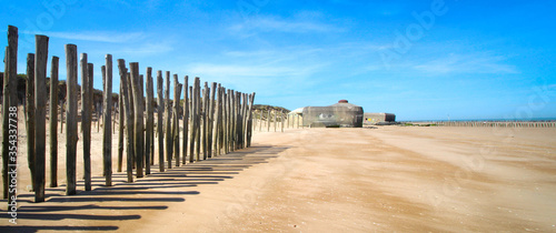 Oye-plage dans la réserve naturelle du Platier d'Oye, entre Calais et Dunkerque, Hauts-de-France