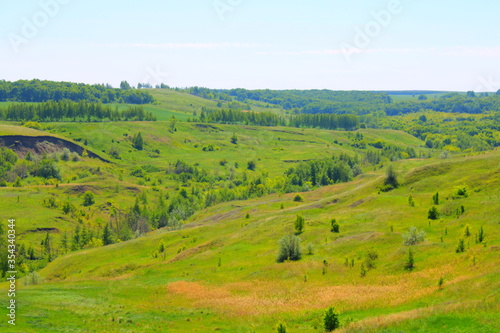 landscape with green grass and blue sky