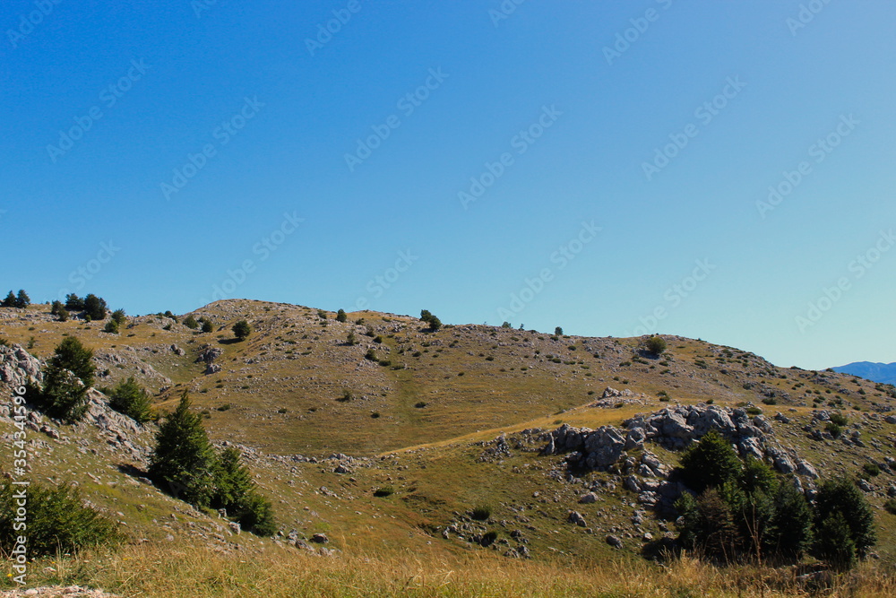 Mountain karst with a some grass and some trees. Bjelasnica Mountain. Mountain karst with a some grass and some trees. Bjelasnica Mountain.