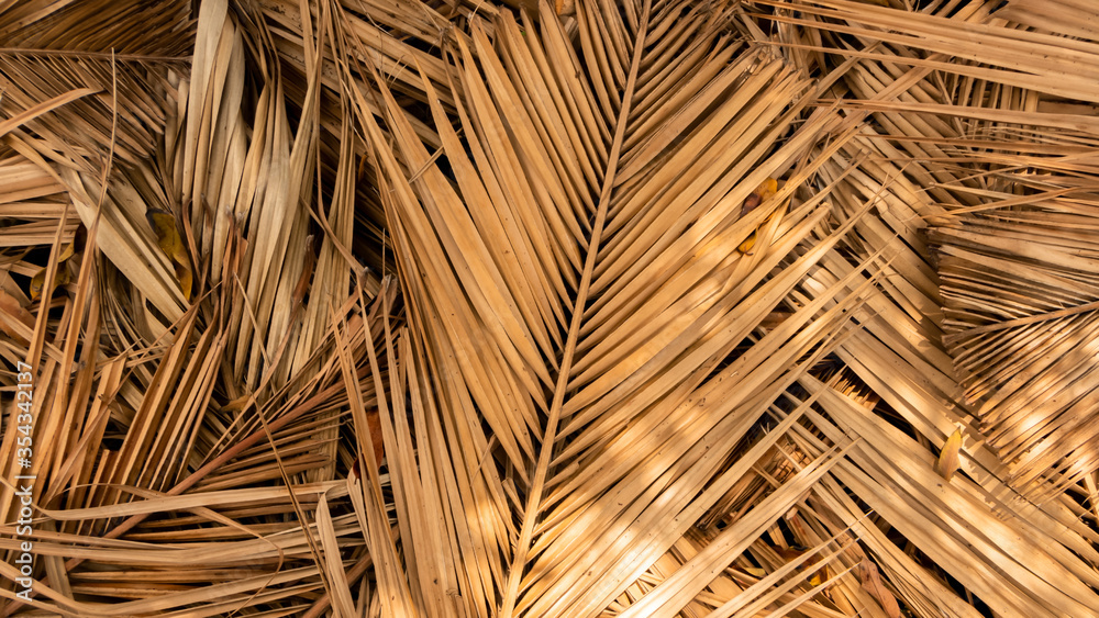 Palm leaves that are brown Palm leaves that are brown