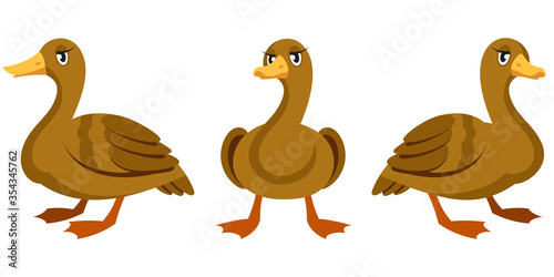 Duck in different poses. Farm animal in cartoon style.
