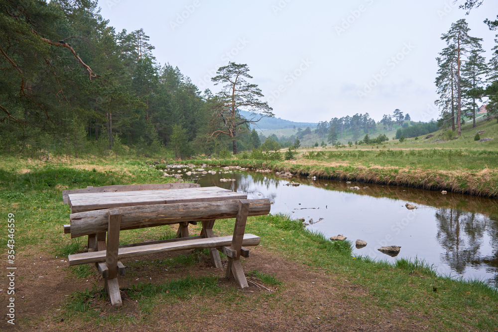 Fototapeta premium Beautiful view of mountain stream in spring