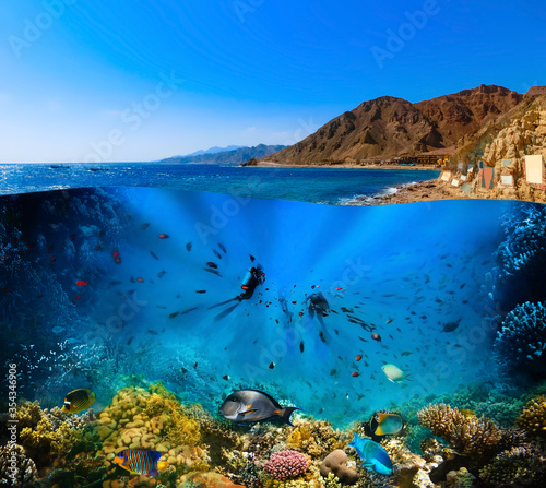 Scuba Diver over underwater canyon photo