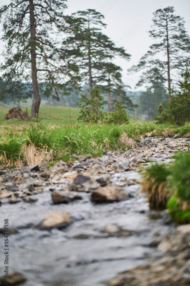Mountain stream Mountain stream