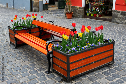 Canvas Print Scenic view at the streets of Scentendre, Hungary