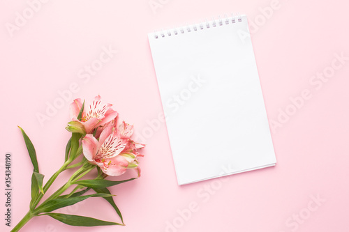 Notebook and flower Alstroemeria on a pink background © KatrinaEra