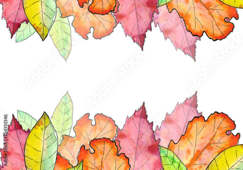 autumn leaves isolated on a white