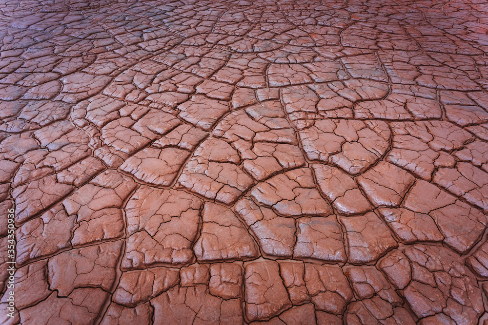 Red cracked ground background. Salt dry polluted soil. Global warming and climate change. Environmental pollution by chemical waste. Ecological catastrophe Red cracked ground background. Salt dry polluted soil. Global warming and climate change. Environmental pollution by chemical waste. Ecological catastrophe