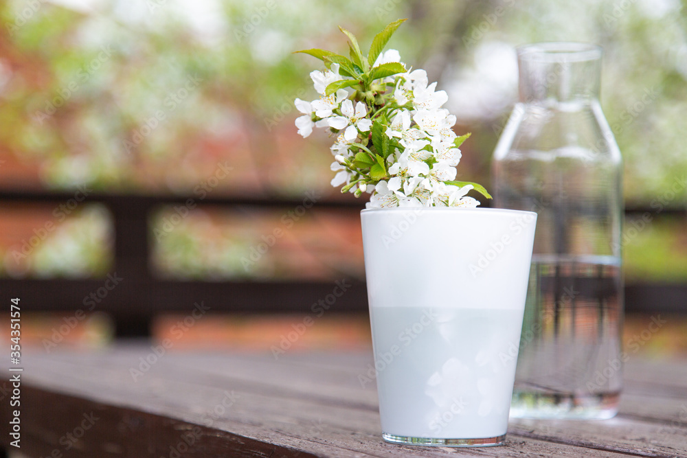 cherry branch with white flowers and green leaves in a white glass glass on a brown wooden table outside in the garden. Bench and flowering tree in the background cherry branch with white flowers and green leaves in a white glass glass on a brown wooden table outside in the garden. Bench and flowering tree in the background