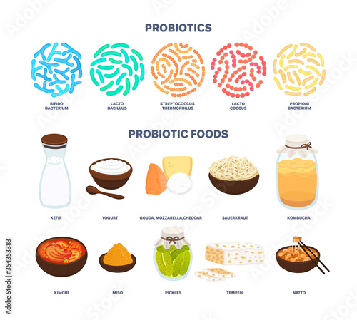 Vector probiotic foods. Best sources of probiotics. Beneficial bacteria improve health. Isolated elements is for label, brochure, menu, advertising, article about diets, healthy and proper nutrition photo