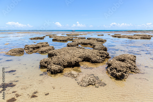 Coral Reef ecosystems grow nearby seashore on Boipeba Island in Brazil © thomathzac23