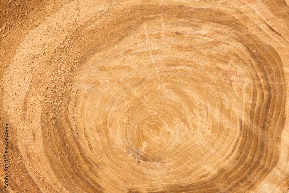 a piece of wood the natural wood background, wooden a piece of wood the natural wood background, wooden