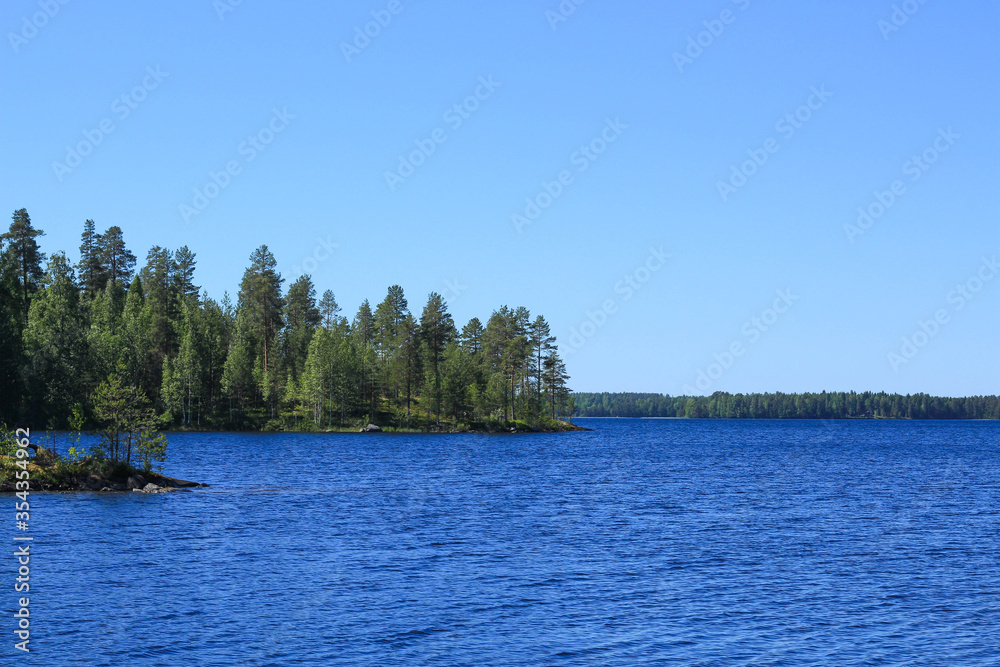 lake and wild forest in Finland