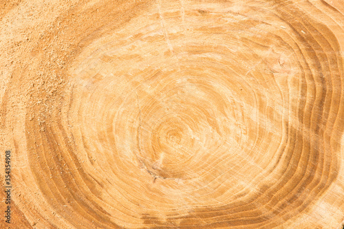 Fototapeta Naklejka Na Ścianę i Meble -  a piece of wood the natural wood background, wooden