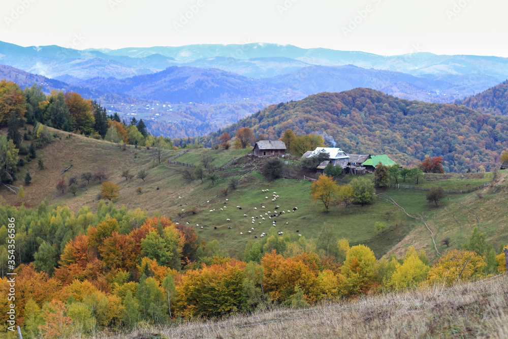 Beautiful autumn forest landscape with small houses aerial view. Hiking Travel Lifestyle concept mountain. Vacations activity outdoor journey in the Carpathians mountains, Ukraine