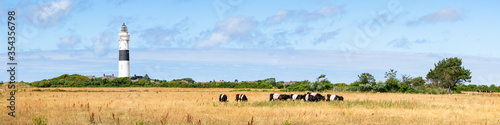 Panoramic view of the Lighthouse Kampen on the island of Sylt, Schleswig-Holstein, Germany