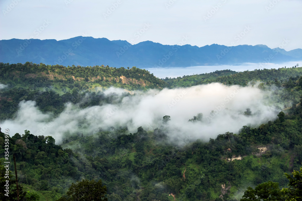 Forested Mountain Valley in the Cloud and Fog During Summer. Natural Landscape View