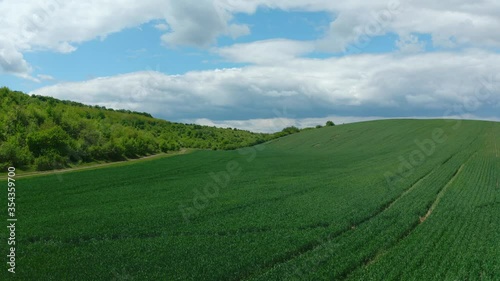 Flying endless fields in Ukraine of yellow Rapeseed/Canol. Ukraine, May, 2020. photo