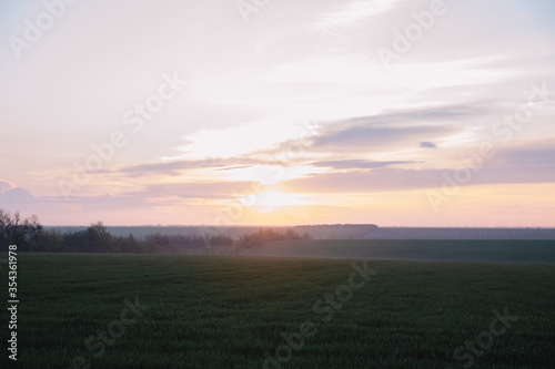 beautiful sunset over the green field