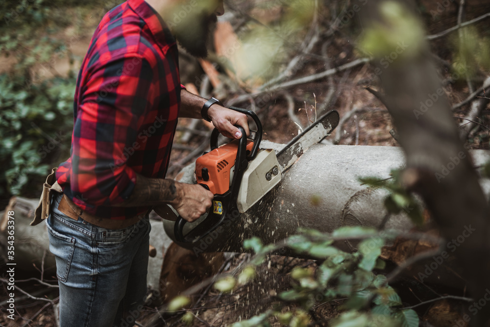 Young adult lumberjack or logger working in woods with chainsaw. Young adult lumberjack or logger working in woods with chainsaw.