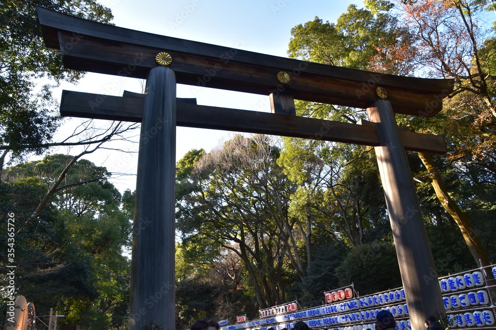 The view of Meiji Shrine in Tokyo, Japan The view of Meiji Shrine in Tokyo, Japan
