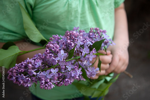 The lush branch of purple lilac in the hands of a child close-up. Purple lilac. Lilac closeup