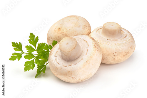 Champignons, close-up, isolated on white background