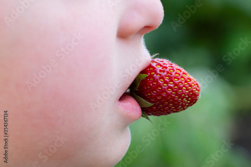 a child holds a strawberry in his mouth