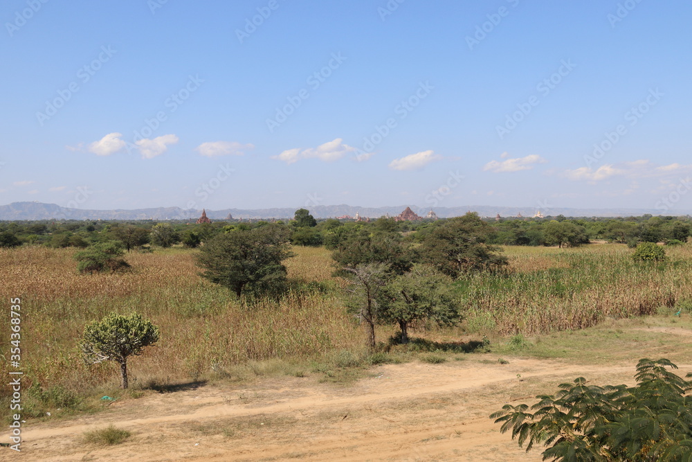 Steppe à Bagan, Myanmar Steppe à Bagan, Myanmar