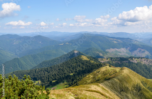 Beautiful summer landscape of spruce forests on the slopes, peaks and valleys of the Carpathian Mountains, Ukraine