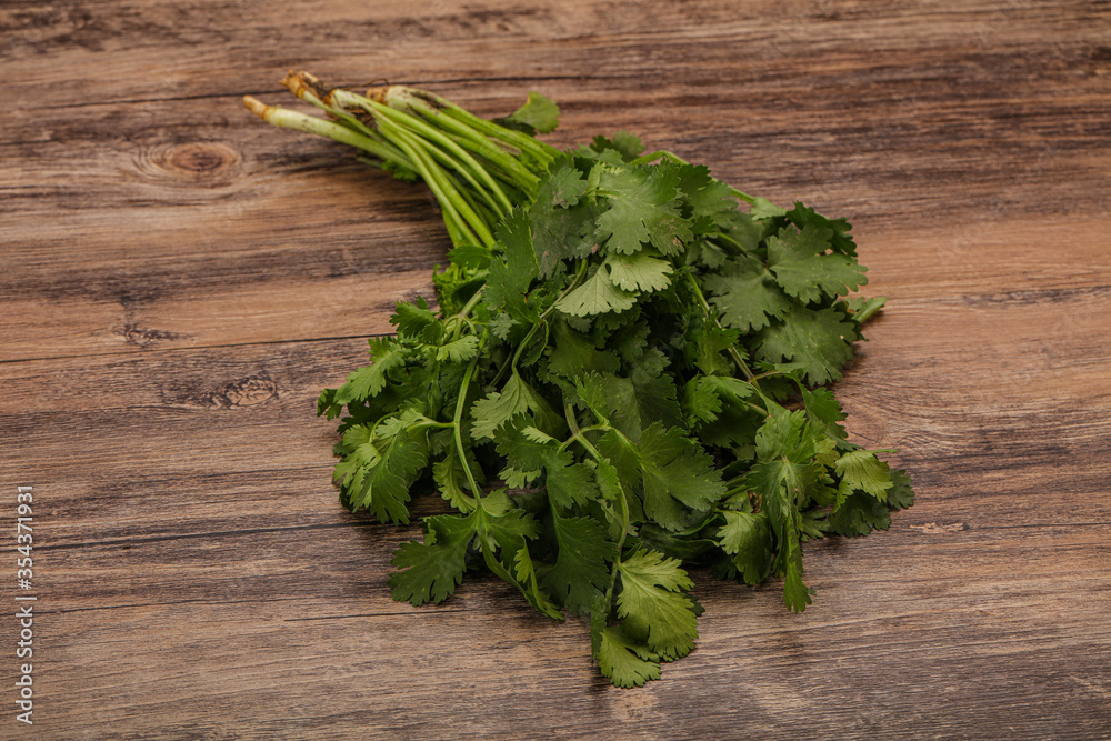 Green coriander or cilanto leaves heap Green coriander or cilanto leaves heap