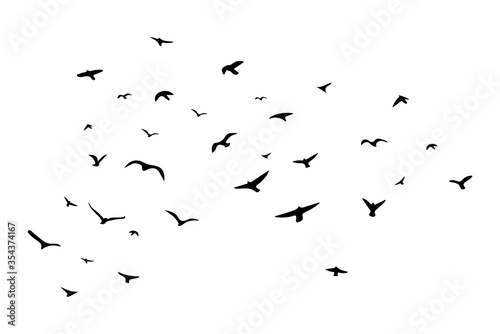 A flock of flying birds. Vector illustration. EPS 10 photo