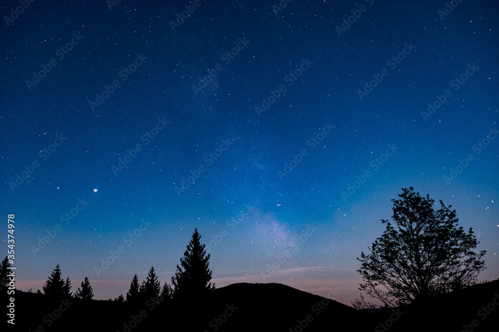 Fototapeta premium night sky with stars