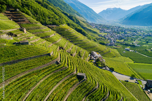 Fotografie Valtellina (IT) - Bianzone - View of the Nebbiolo vineyards