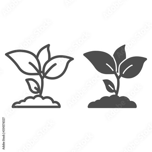Plant sprouts line and solid icon, agriculture concept, Young growth with leaves sign on white background, seedling icon in outline style for mobile concept and web design. Vector graphics.