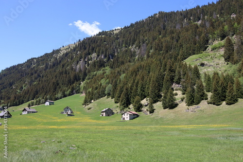 Alps view with snow, summer meadow and houses,  Switzerland, Campra, Ticino photo