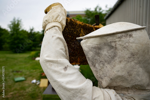 beekeeper at work with honeycomb