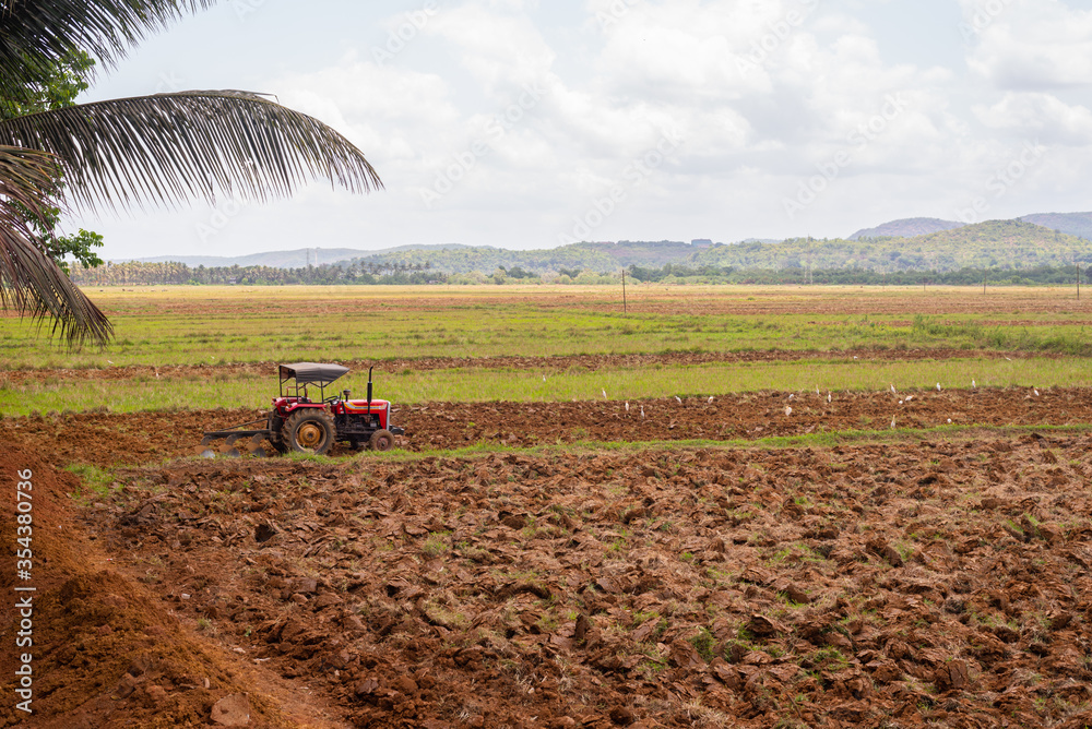 Fototapeta premium Tractor and tiller, plower used in agriculture Machinery used in the field for paddy cultivation