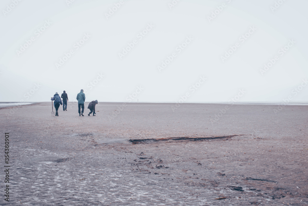 people walking in the wadden sea people walking in the wadden sea