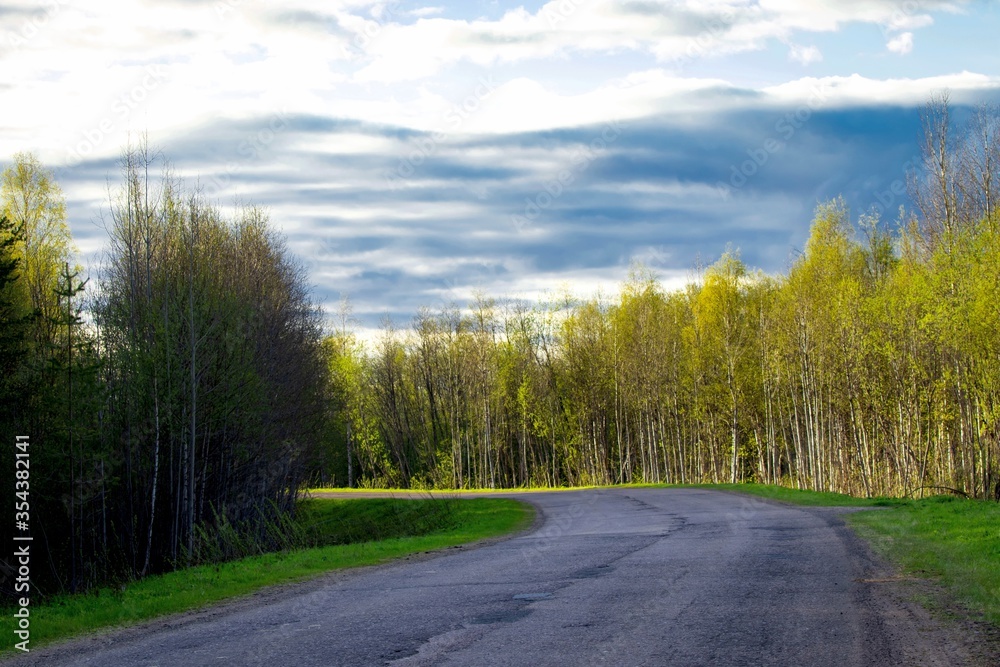 Fototapeta premium Asphalt road in the forest against the evening sky