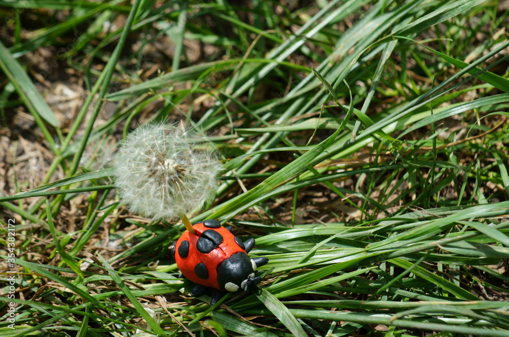 Fototapeta premium Figure of a ladybug made of plasticine in the grass. A dandelion is inserted into the ladybug.