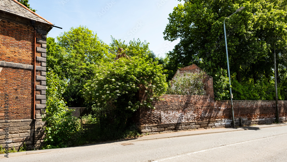 Overgrown old brick wall