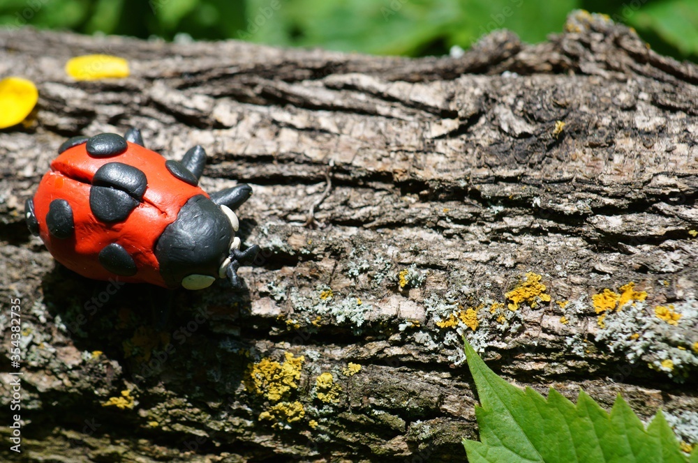 Figurine of a ladybug made of plasticine on a tree. A flower is inserted into the ladybug. Figurine of a ladybug made of plasticine on a tree. A flower is inserted into the ladybug.
