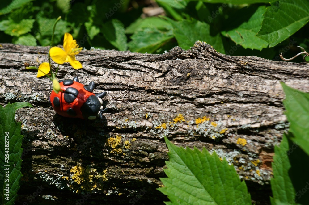 Figurine of a ladybug made of plasticine on a tree. A flower is inserted into the ladybug. Figurine of a ladybug made of plasticine on a tree. A flower is inserted into the ladybug.