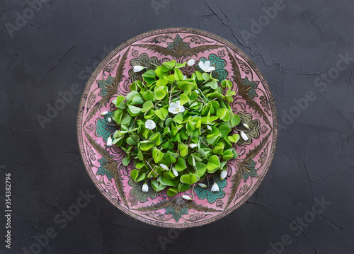 Oxalis in a old metal vase on a concrete background. Wood sorrel with white flowers edible plant from the forest, a sour taste. Edible spring plant, Oxalidaceae Family.