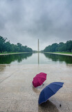 Umbrellas in front of Reflecting Pool and Washington Monument.