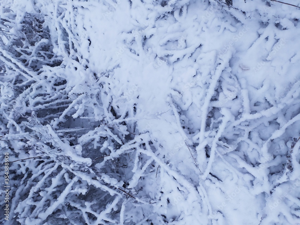frosty natural pattern frosty natural pattern