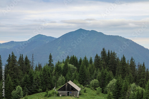 Old small wooden house in front of the mountains and forest. Hiking travel outdoor concept mountain view. Journey in the Carpathians mountains, Ukraine