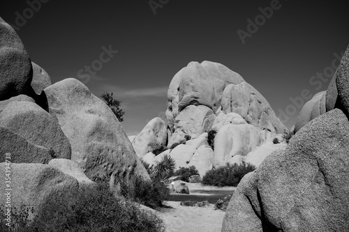 Joshua Tree National Park photo